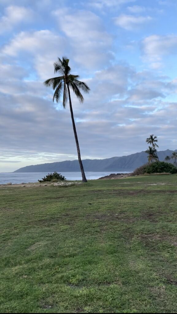 Kea'au Beach park on this west Oahu itinerary is great space to stop
